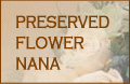PRESERVED FLOWER NANA vU[uht[@ii